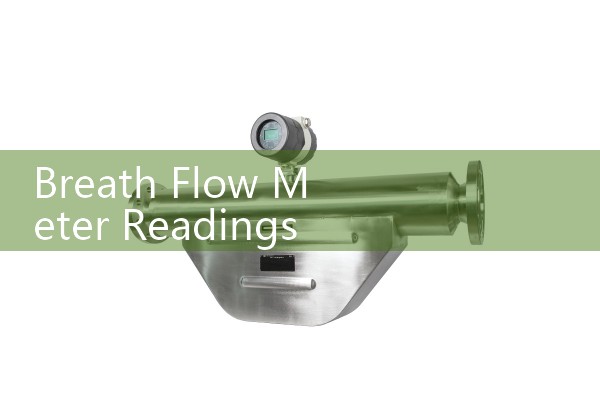 Breath Flow Meter Readings: Sourcing Asthma Action Plan Target Data Analysis